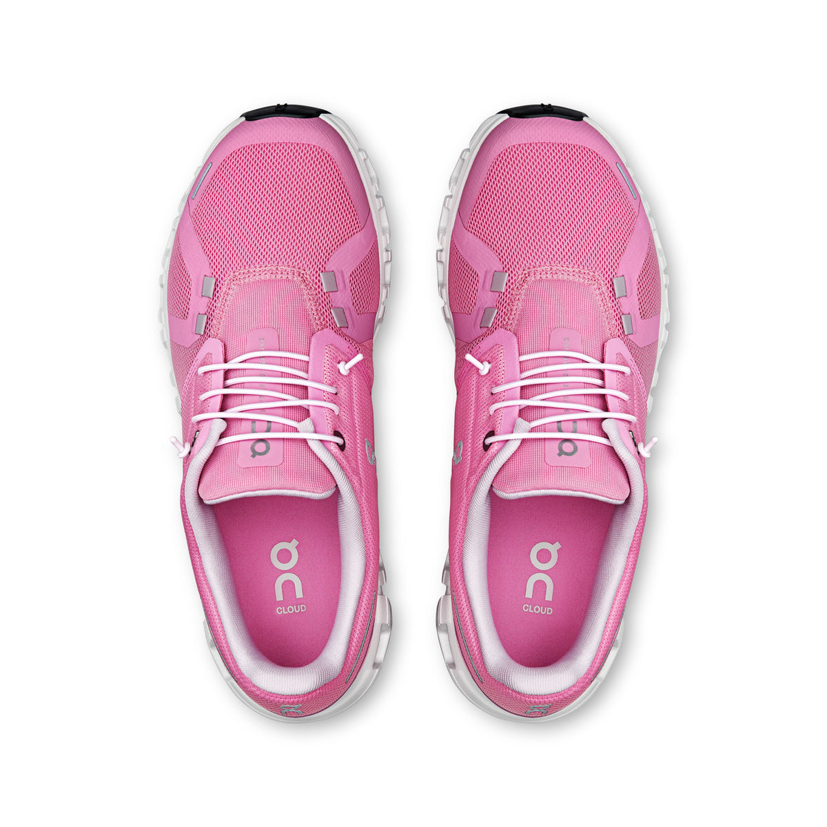 Raspberry/White